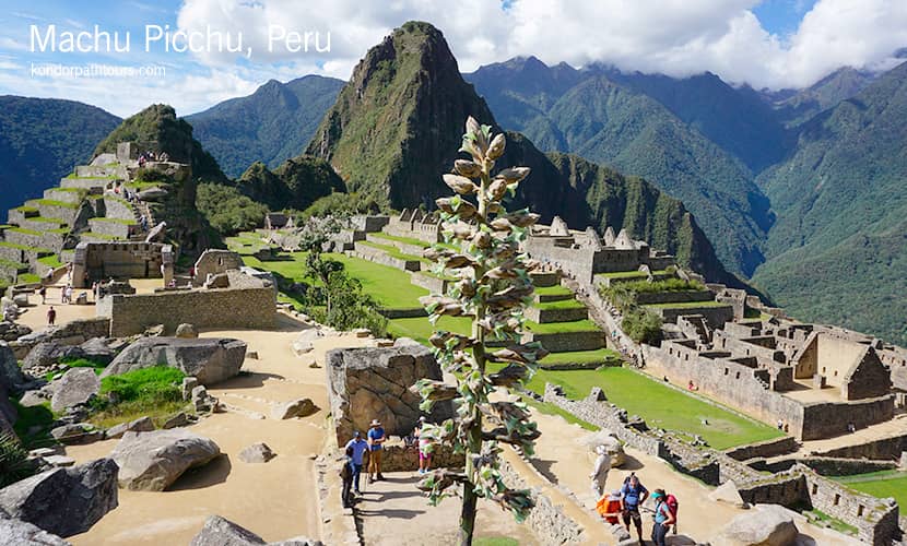 5 Day Machu Picchu Tour