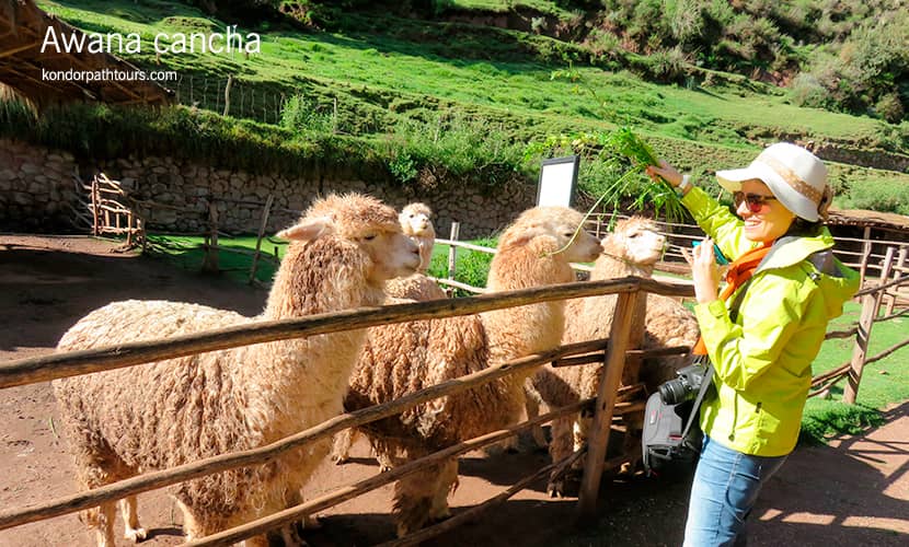 Reverse Sacred Valley Tour