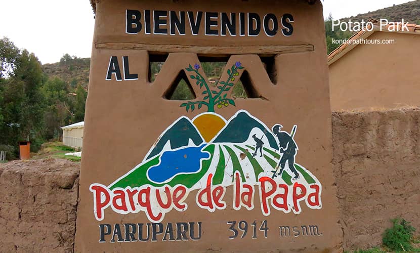 Potato Park Peru