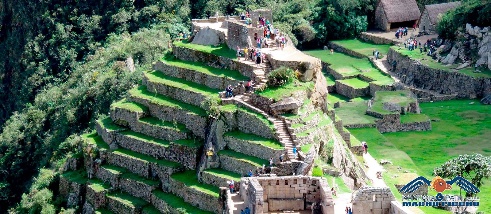 Machu Picchu guided tour by train