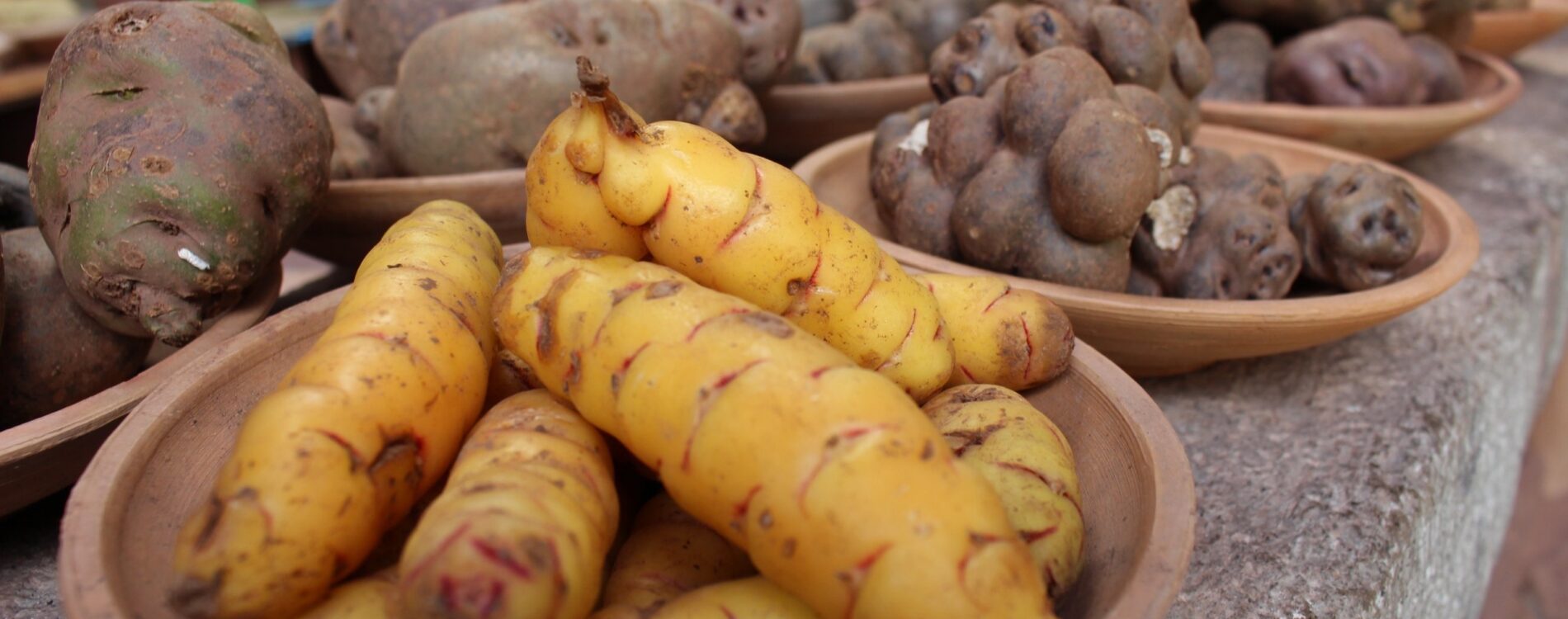 Top Vegan restaurants Around Cusco