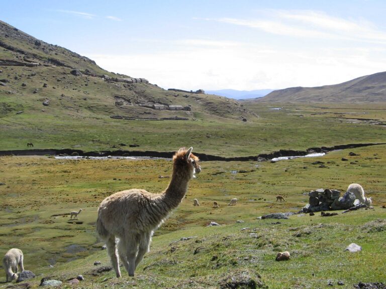 Ultimate Ausangate Trek Guide – The Andes