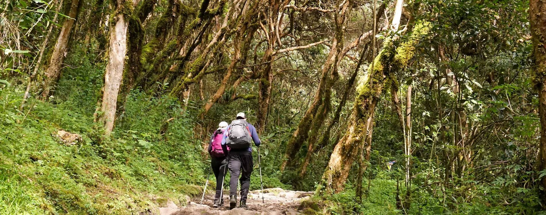 Inca Trail February 2023 Closed But open between March and December 2023