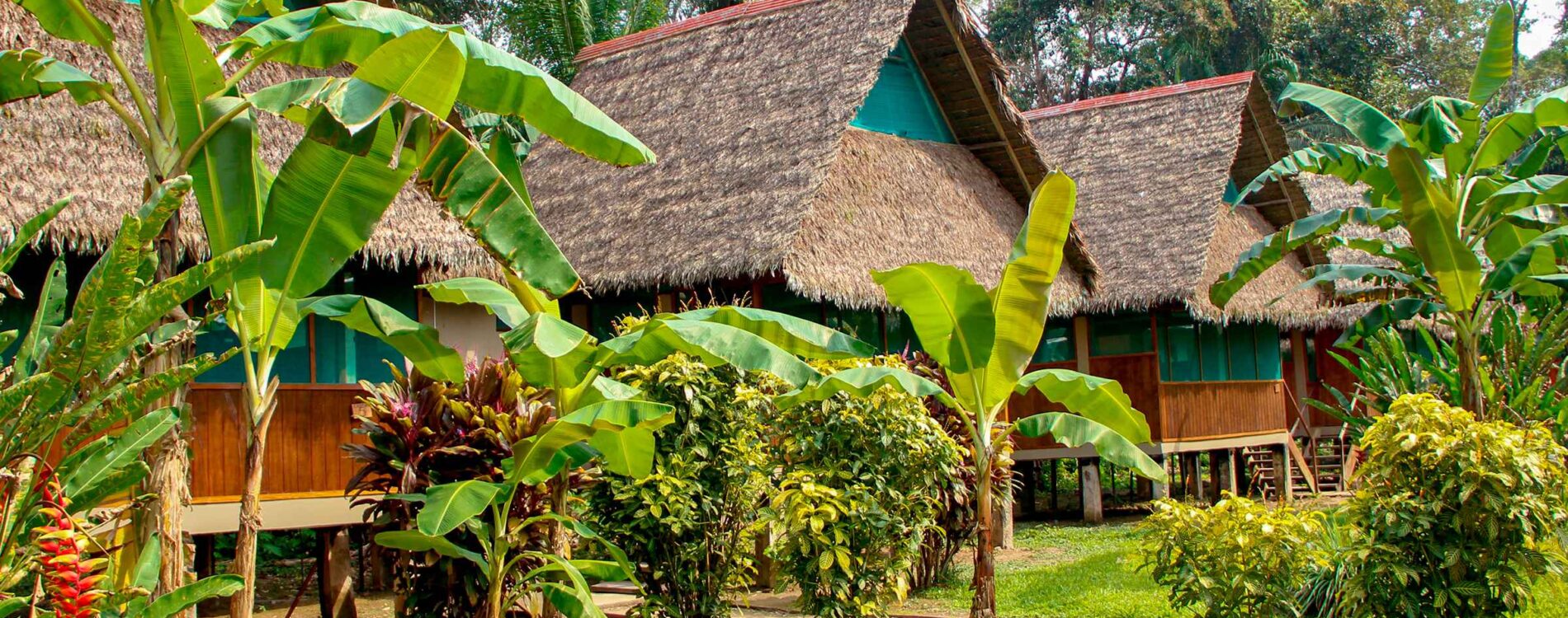 Puerto Maldonado Amazon Tours: A Once-in-a-Lifetime Adventure