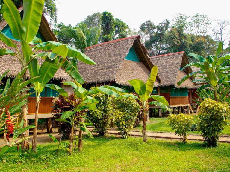 Puerto Maldonado Amazon Tours: A Once-in-a-Lifetime Adventure