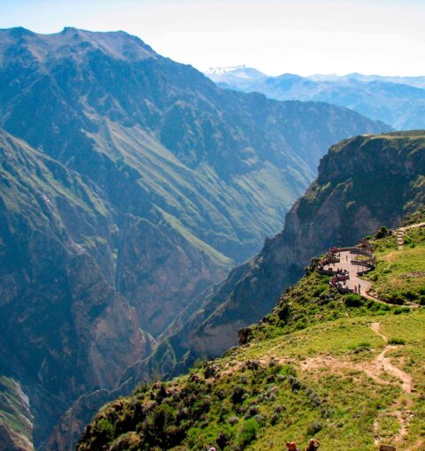 Colca Canyon Tour 1 Day in Arequipa