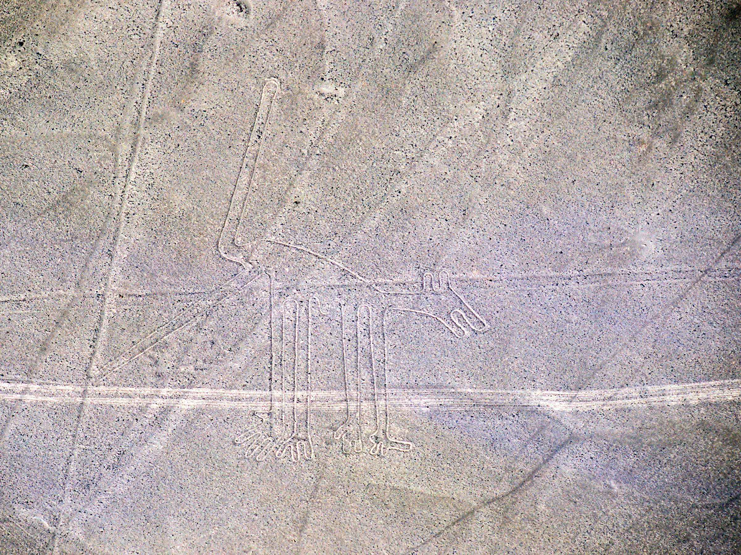 nazca lines tour from cusco