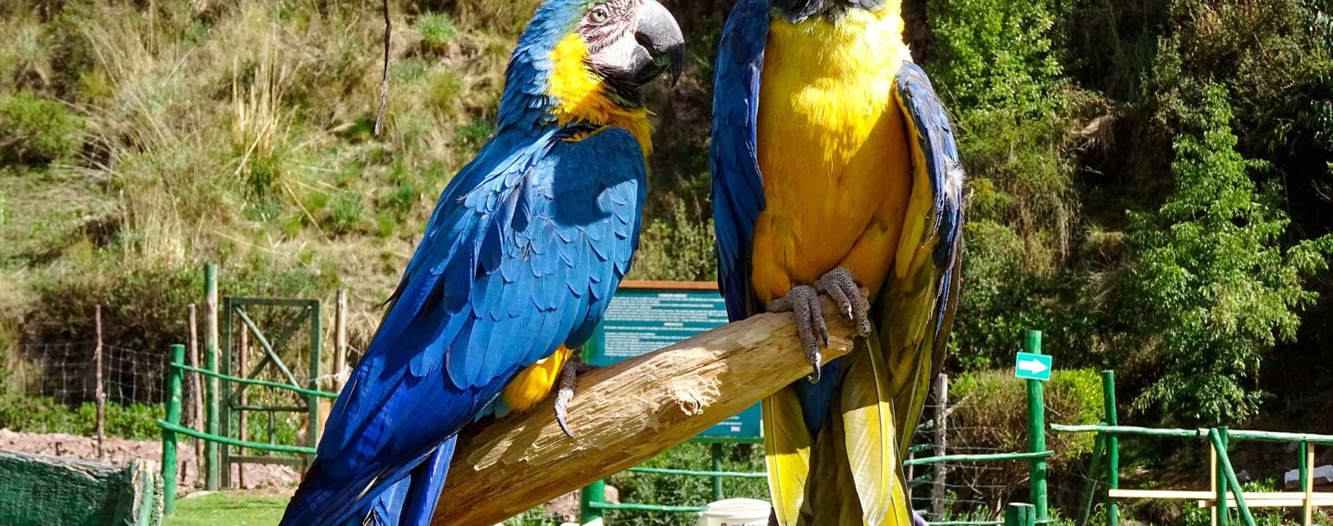 Wildlife & Nature Tours in Puerto Maldonado