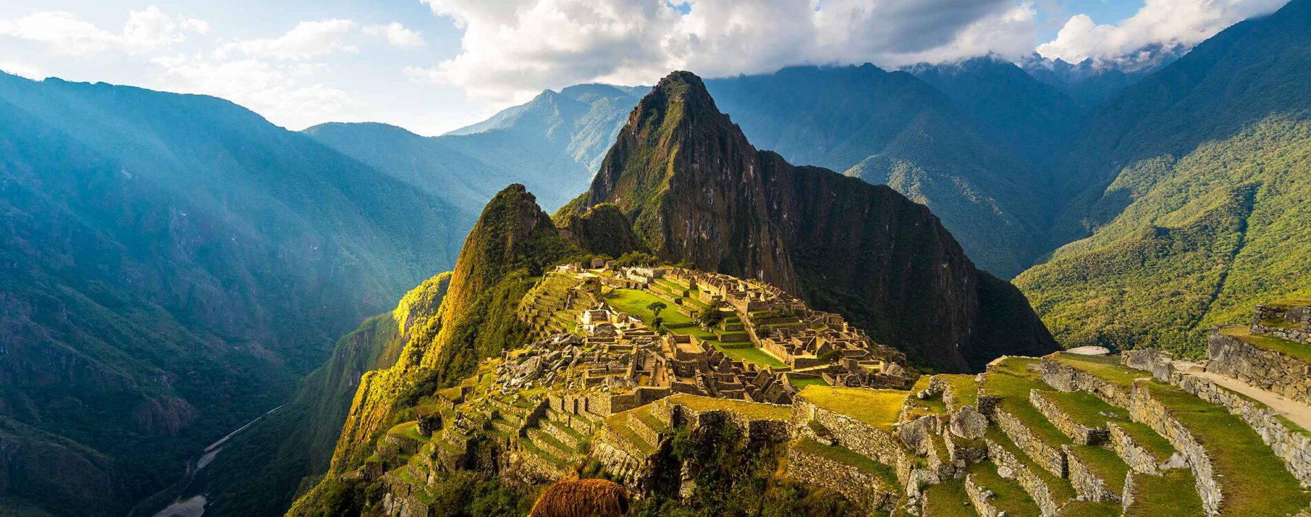 Local Tours with Private Guides