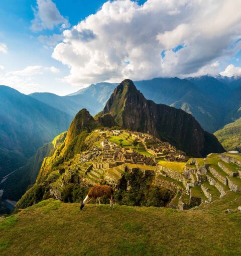 Local Tours with Private Guides