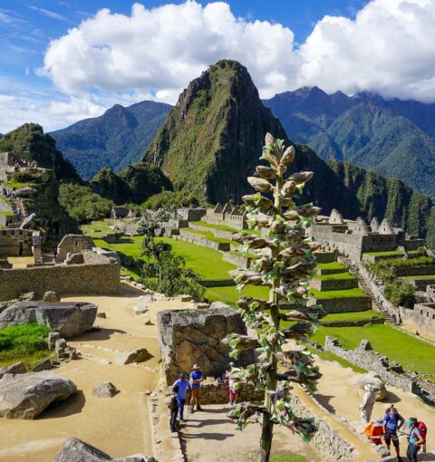 Cusco Tour Packages | Machu Picchu & Sacred Valley Trips Peru
