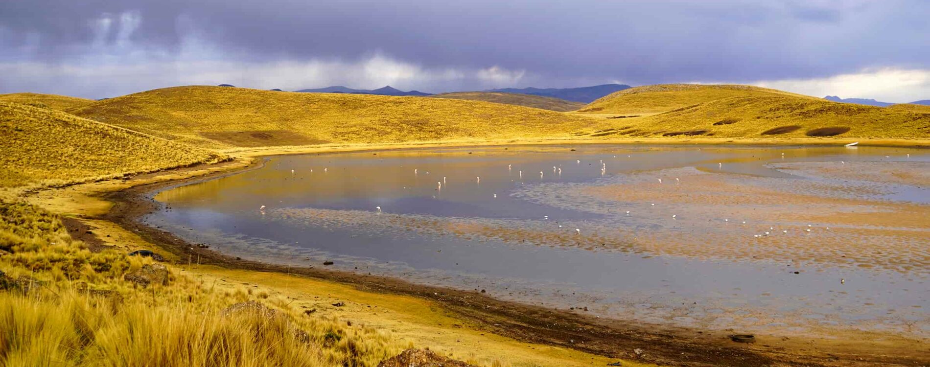 Puno Altitude Sickness | Tips, Prevention & How to Acclimate