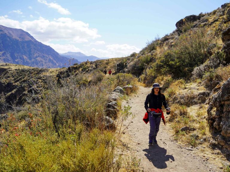 Colca Canyon Trek in Peru: Routes, Difficulty and Travel Tips