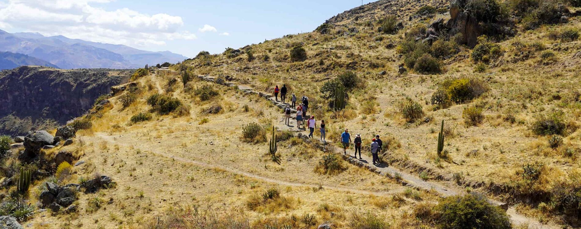 Colca Canyon Tours: Explore Peru’s Spectacular Wonder