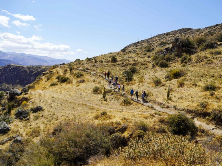 Colca Canyon Tours: Explore Peru’s Spectacular Wonder